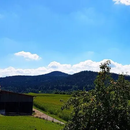 Haus Leutner Bavarian Forest Appartement